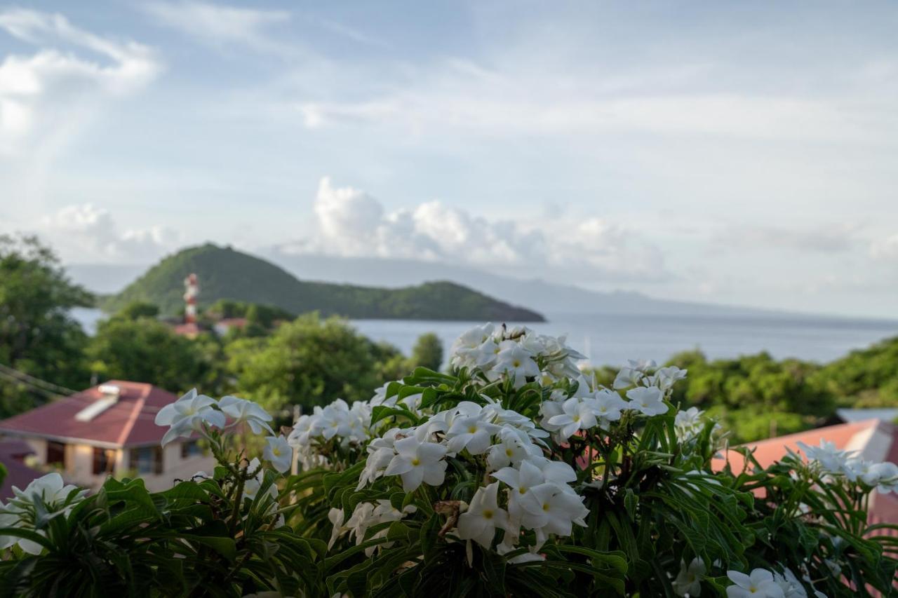 Bungalow Anse Figuier Terre-De-Haut Kültér fotó