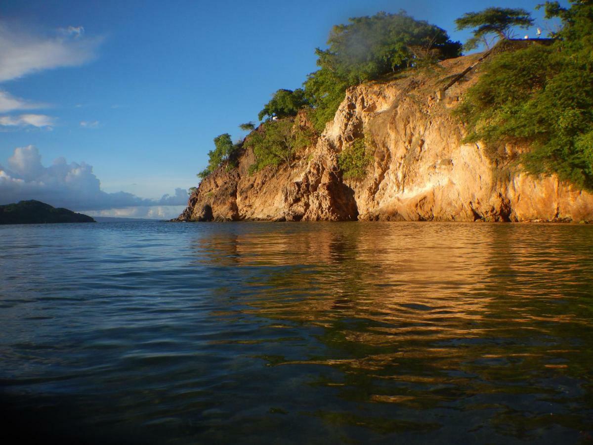 Bungalow Anse Figuier Terre-De-Haut Kültér fotó